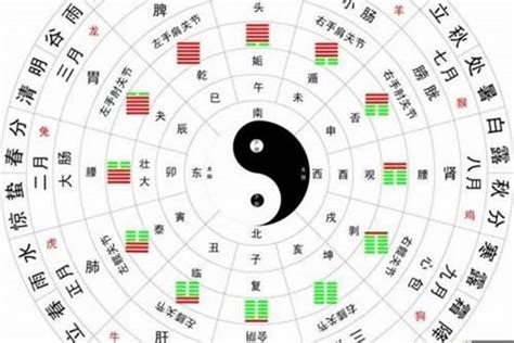 五行 算法|生辰八字算命、五行喜用神查询（免费测算）